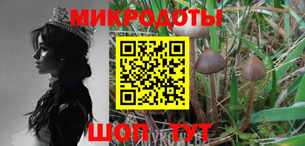 Галлюциногенные грибы Psilocybe Альметьевск
